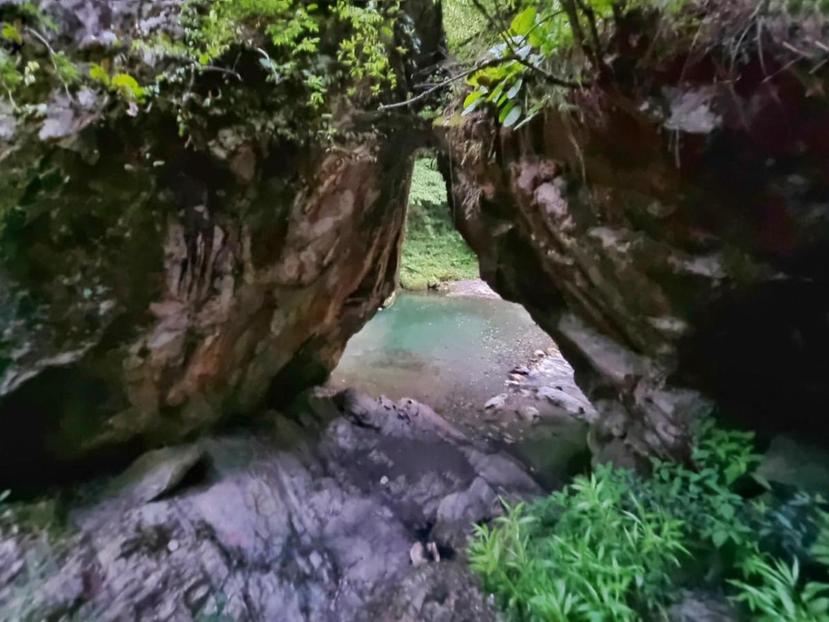 Ishan Log Huts-A Boutique Home Stay Banjār Dış mekan fotoğraf